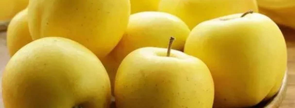 Ar PĀRGĀJIENIEM! Varenās LĪČU LAŅĢU klintis pie Lodes Liepas! Grīviņu iezis, Sillakas un Vaives dzirnavas! 