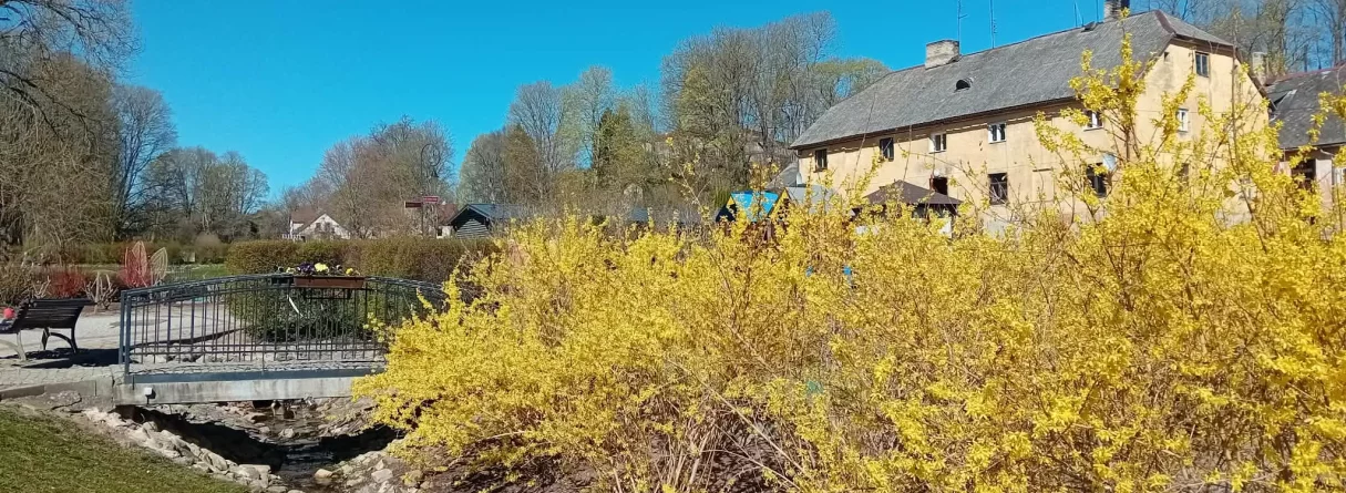 Trejiem "zirgiem" braucu - ar retro auto "Zīle" Kandavā, ar privāto mazbānīti "Kauliņos" un motorplostu Usmas ezerā. Krāsainā Valdemārpils. 
