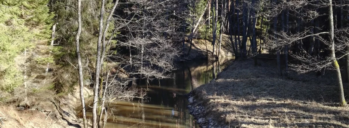 Pārgājiens ainaviskajā Rīvas loku dabas takā, Pāvilosta, Akmeņraga bāka.  GARANTĒTS