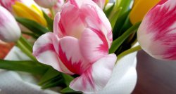 22.03. | Uz SĒLIJU! Citādāka NERETA. Meistarklase Cigoriņu fabrikā SAMAL SAVU KAFEJU un pavasara PIKNIKS! Kas ir SĒRENE?