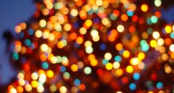 PIRMAVOTI - jauna izstāde OLA Foundation kultūras telpā, Budas muiža Pārdaugavā, Rīgas jumtu medus un Ziemassvētku dārzs Torņakalnā 