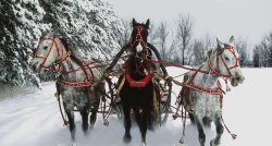 Ziemassvētku rezidence “Klajumos” un Daugavpils GARANTĒTS