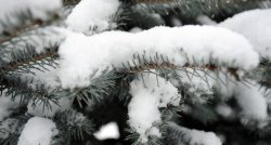 Četras jūras, Ziemassvētku gaidas un KOLKASRAGS! Pikniks dabā un nelieli pārgājieni gar jūru! DOSIMIES DABĀ! ГАРАНТИРОВАННО