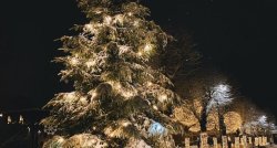 Garšīgā Pierīga - veselīgs rīts ar "Smalko musli" un gards noslēgums ar karsto šokolādi! "Dabas zirgi" un īstā latvju saimniece Līga Broduža, Ziemassvētku gaismiņas Ogrē 