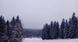 Maršruts mazai grupai. Vestienā atklāta Arnolda Burova leļļu ekspozīcija. Vestienas muiža. Atjaunotā Taurupes muižas klēts! Kinostacija Ķeipenē, Neatkarības laukums Ogrē 