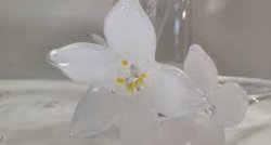 ZEMGALE - radošā un skanošā: Dobeles Amatu māja, novada pērle - JAUNAUCES muiža! Noslēgumā koncerts ĪLES baznīcā – jaunajā kultūrtelpā!  GARANTĒTS