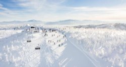 Sniegotais februāris Beskidos – slēpošana un atpūta Ščirkā, Polijā