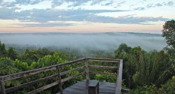 Бразилия - Перу