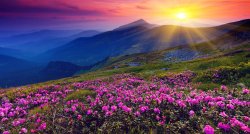 Pa seno zīda ceļu Armēnijā saldajā pilnbrieda laikā