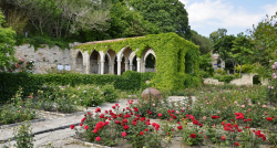 РУМЫНИЯ-БОЛГАРИЯ с отдыхом у моря на курорте Золотые пески