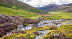 Skotijas lielais loks