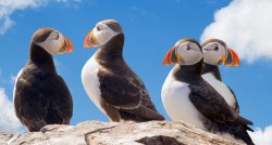 Арктическое приключение в Норвегии