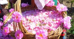 Rozes, Lielais Ķīnas mūris un kruīzs saulrietā – īstā Bulgārijas garša 
(viss iekļauts)