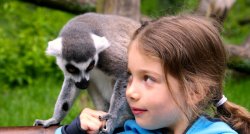 Aizraujošā Vācija visiem un ikvienam! 