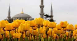 Мозаика Стамбула — сказка тюльпанов в Пасхальные каникулы!