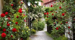 Viduslaiku dzīres Visbijā - Gotlandes salā, kruīzs