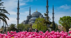 Stambula tulpju festivāla laikā Lieldienu brīvdienās! ГАРАНТИРОВАННО