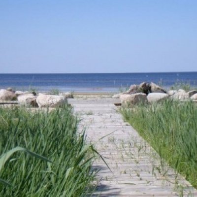 Uz Renģēdāju festivālu Salacgrīvā! Romantiskais piekrastes ceļš Igaunijā un vīna tūre "Pa prezidenta pēdām" vīna darītavā "Langemaa" 