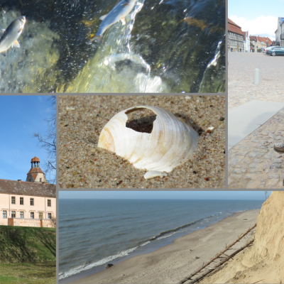 lido zivis ventspils