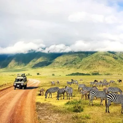 Safari piedzīvojumi Tanzānijā un atpūta Zanzibārā, Indijas okeāna krastā! Ar Serengeti parku - pasaulē populārāko savvaļas dabas rezervātu.