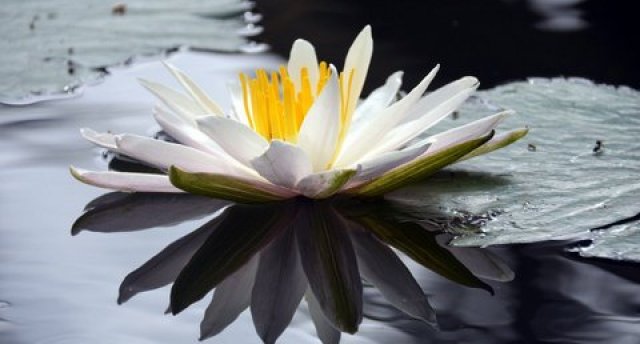 7.06. | Alūksne - Ziemeļvidzemes skaistais zieds!