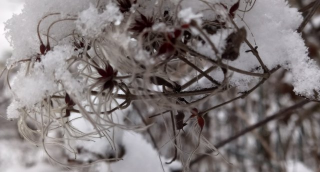 Pretī Ziemassvētkiem ar Gulbenes tvaika bānīti! Lizuma muiža ar eleganto tornīti, baltā Stāmerienas pils. Ciemos pie Vinetas Meisteres Izšūto gleznu galerijā Cesvainē 