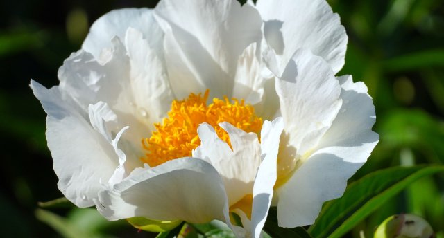 24.05. | Vasarsvētkos uz ILZENBERGAS MUIŽU Lietuvā! Privātā ILZU baznīca. VECMĒMELES MUIŽAS jaunumi! GARANTĒTS