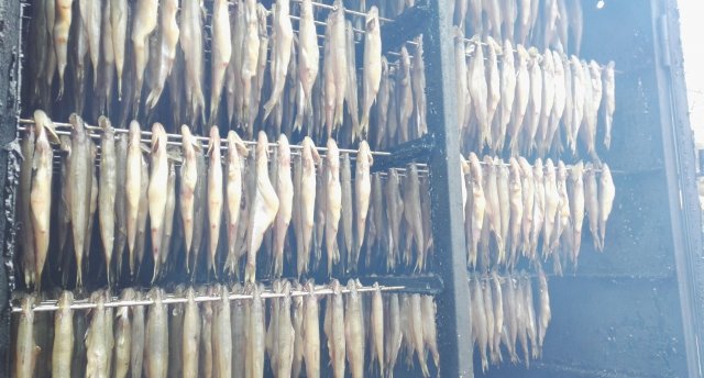 Festivāls &quot;Palangas stinte 2026&quot; un žemaišu ēdieni mājīgajās Eņģeļu dzirnavās