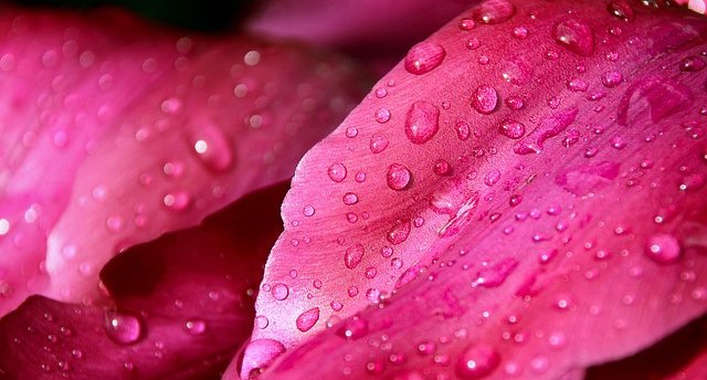 Jaunums un arī pirmizrāde LIEPĀJAS TEĀTRĪ! - FREIMANIS. Liepāja – mākslas pilsēta: Romas dārzs!