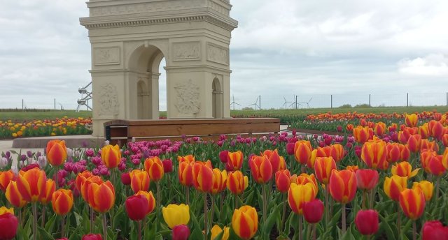 Uz Lietuvu! Ziedošas sakuras Japāņu dārzā un ceļojums apkārt pasaulei "Babilonas dārzā". Palanga.  GARANTĒTS