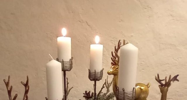 3.Adventes koncerts Jaunauces muižā, Zaļenieku muiža. Māksla, daba un gaisma Ziemas dārzā Dobelē! 