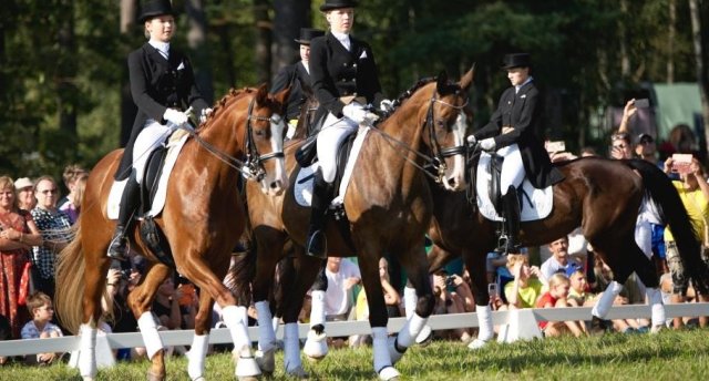 “Kumeļu rotaļas” – zirgu un dabas izrāde Klajumos, Bebrene, Pļavas muzejs Kaldabruņā