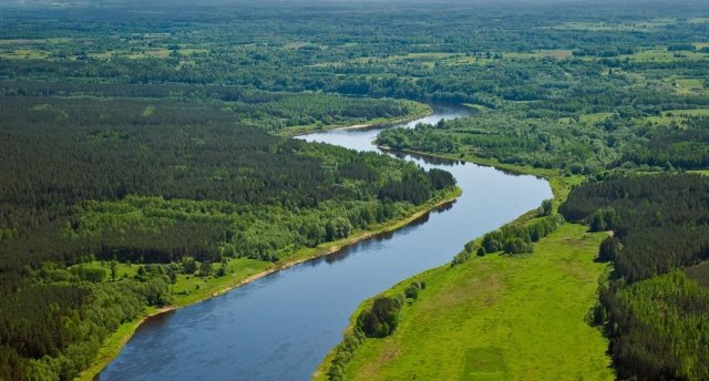 Daugavas loki (dabas taku un laivošanas maršruts) GARANTĒTS