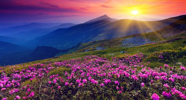 Pa seno zīda ceļu Armēnijā saldajā pilnbrieda laikā