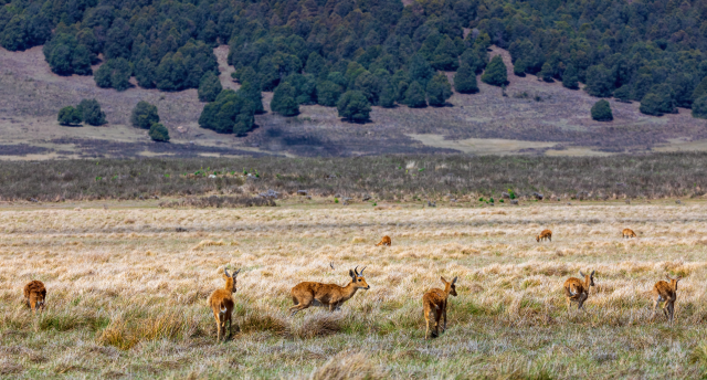 No Āfrikas kolorītākajām ciltīm līdz Lielās Rifta ielejas gleznainākajām ainavām - eksotiskā Etiopija