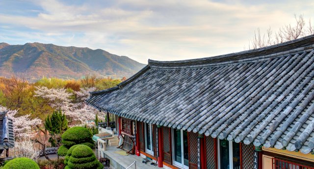 DIENVIDKOREJA 10 DIENAS