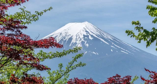 Japāna GARANTĒTS