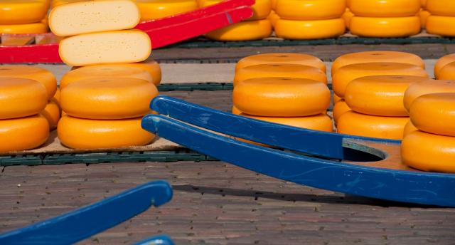 Германия-Бельгия-Голландия - парк цветов «Кёкенхоф»