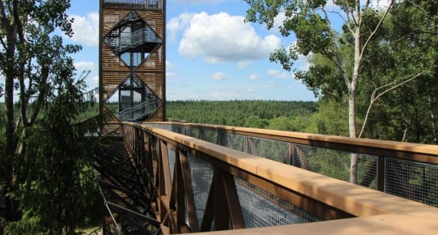 Noķer pavasari koku galotnēs Lietuvā! Ukmerģe - baložiem bagātā pilsēta pilskalna pakājē, "Mini Lietuva, kūrortpilsētiņa Anīkšči, pastaiga virs koku galotnēm 