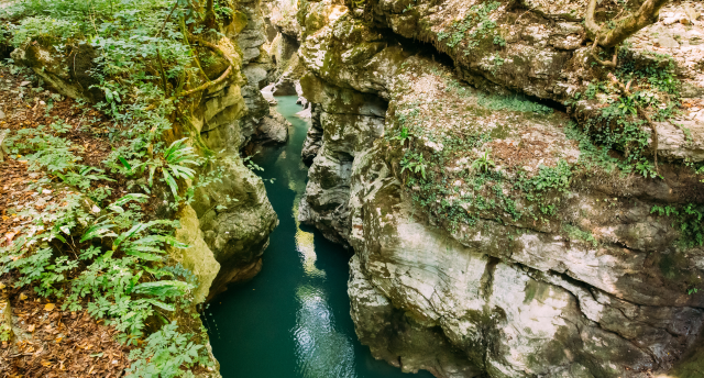 БАТУМИ. ЭКСКУРСИИ + ОТДЫХ У МОРЯ