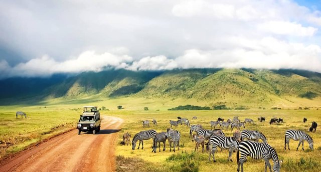 Safari piedzīvojumi Tanzānijā un atpūta Zanzibārā, Indijas okeāna krastā! Ar Serengeti parku - pasaulē populārāko savvaļas dabas rezervātu.