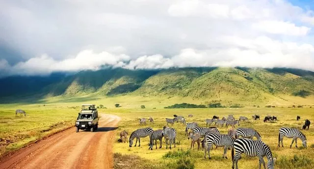 Safari piedzīvojumi Tanzānijā un atpūta Zanzibārā, Indijas okeāna krastā! Ar Serengeti parku - pasaulē populārāko savvaļas dabas rezervātu. GARANTĒTS