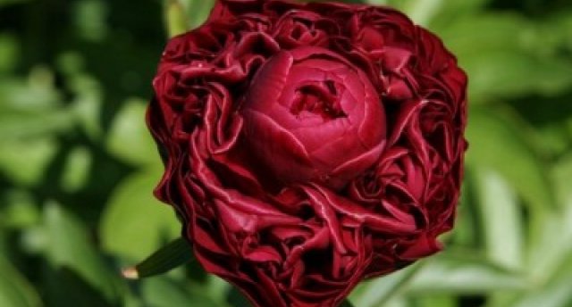 Uz Jāņa Lūsēna SKAŅU LAUKIEM Ozolu skolā! Raunas Ceplis. Psihoterapeita Jāņa Zālīša māja. Siera ražotne | Rauna 