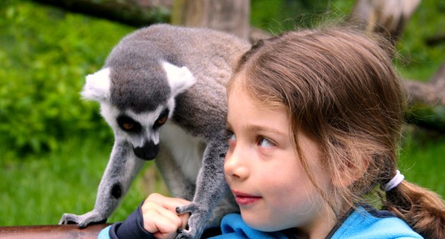 Захватывающая Германия для всех и каждого!                               
