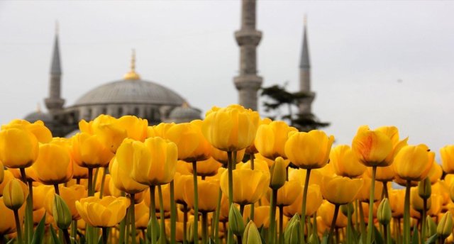 Мозаика Стамбула — сказка тюльпанов в Пасхальные каникулы!