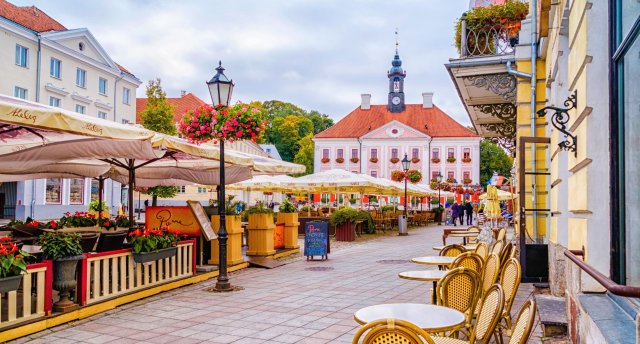 IGAUNIJAS DĀRZI, TARTU UN KALEVIPOEGS ГАРАНТИРОВАННО