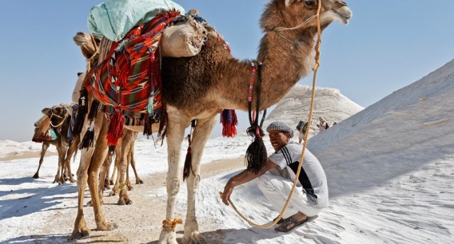 Под солнцем Белой и Чёрной пустынь! Неизведанные тайны Египта!