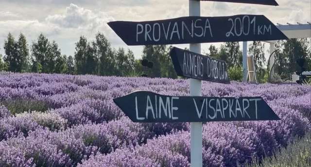“Lavandu lejas”, ar kuģīti Daugavā, Kokneses pilsdrupas un Dabas sēta GARANTĒTS