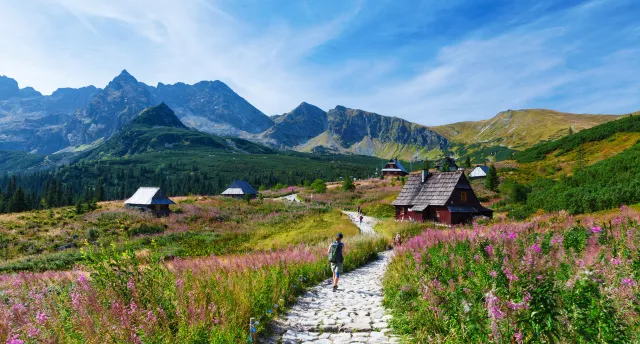 Zakopane: Novembra pasaka kalnos! GARANTĒTS