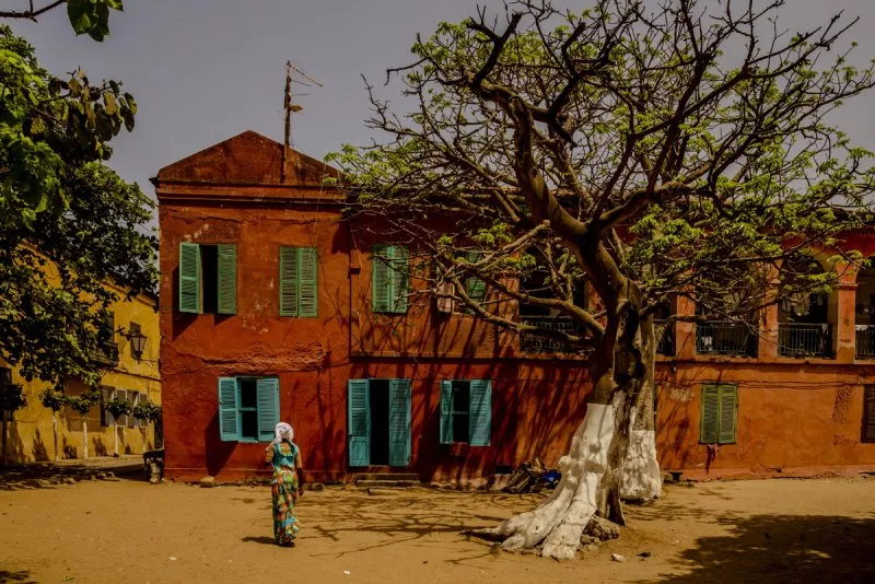 Jaunā gada sagaidīšana Senegālā ar RIU Baobab 5* (AI)
GARANTĒTS